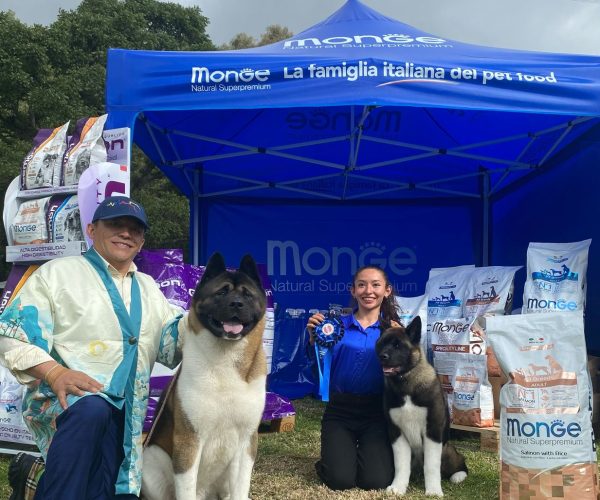 316aedcd-5940-41c2-8468-c3e9c93c4a3f