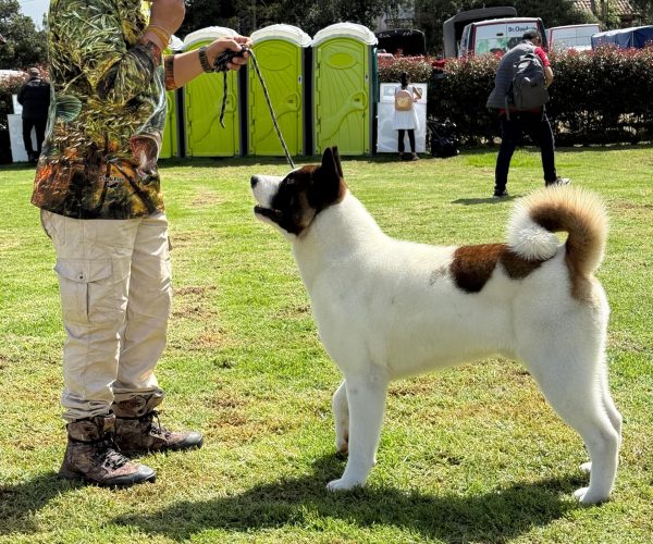 443f0f8f-c704-4bff-bdd0-6dc0623eb3c8