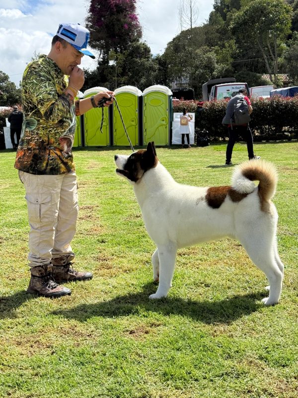 443f0f8f-c704-4bff-bdd0-6dc0623eb3c8