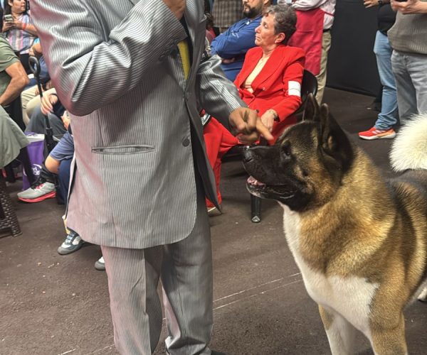 57f2c930-6e1d-474f-9103-195414d95a4c