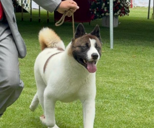 5d746840-2dc2-4439-95e7-dd29a4cf92f7