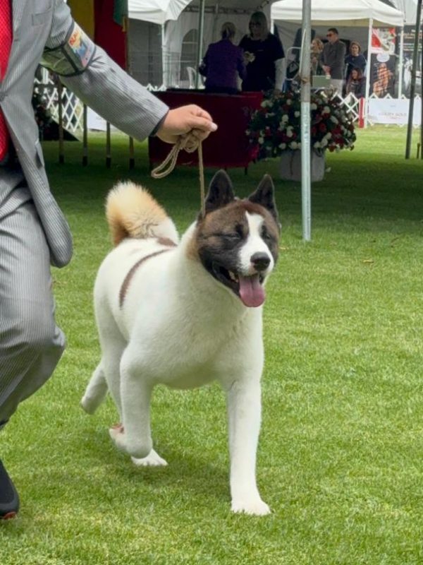 5d746840-2dc2-4439-95e7-dd29a4cf92f7