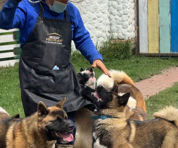 60b2254e-5f56-4d40-a3b7-8aea754da63e