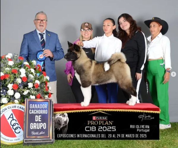 63ade347-b67d-44b6-80e6-bbcd297dbdc4