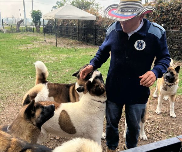 b9701729-cf71-487a-b477-60c089458dd6