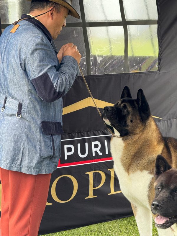 dd42e828-1657-4905-a0eb-d62726346401